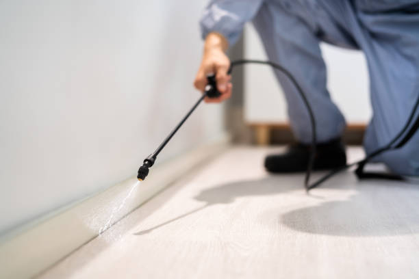 Certified termite inspector examining foundation in Eagle Lake